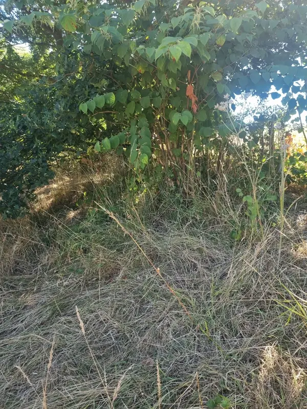 Cherry Lodge Golf Club: photo 8 of 10