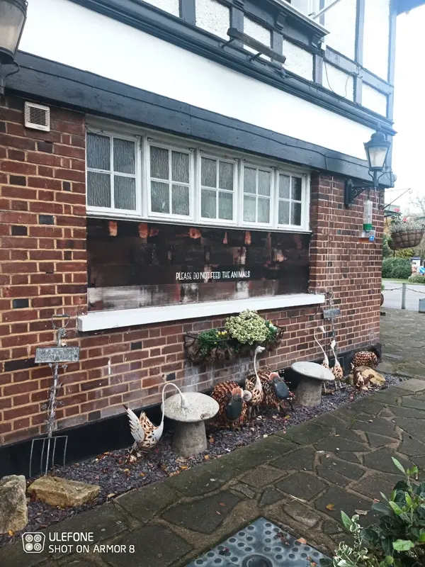 Plough: photo 6 of 10