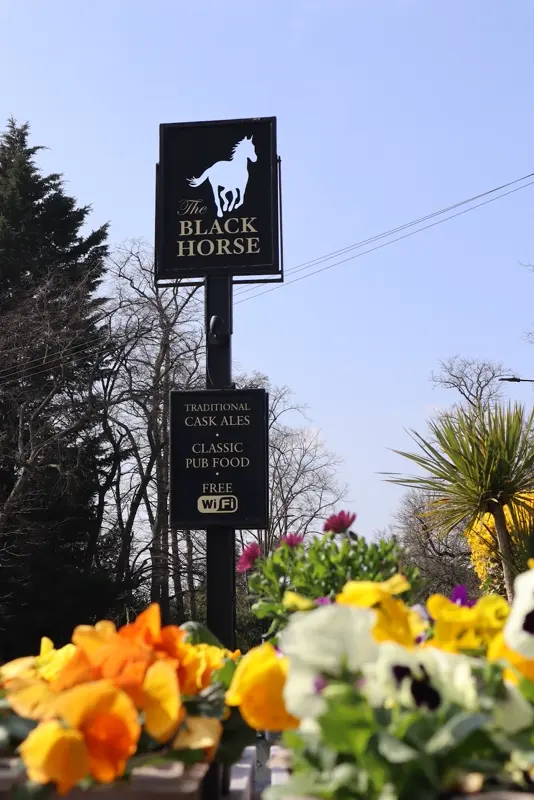 Black Horse: photo 9 of 10