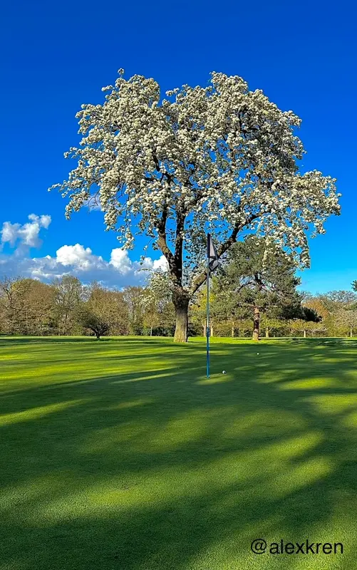 Bush Hill Park Golf Club: photo 10 of 10